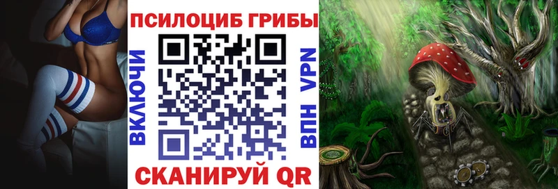 где купить   Шуя  Галлюциногенные грибы Magic Shrooms 